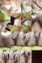 ua14rl5hbs9l_xt