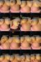 5q2bf9a3czsr_xt