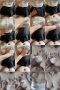 iapchiut6f80_xt