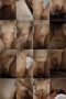 j6pb5f550czo_xt