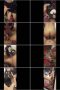 fpgchiw8uks8_xt