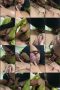 q26wq2qtk3hs_xt