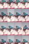 i9p8wbbix3490lm2