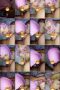 5914hic5p2h5_xt