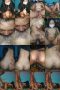 7dm81170qgwh5bmd
