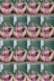 xhrwg2wmy7e4_xt