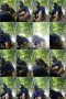 knbtcn0ew22e_xt