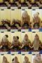 u61ldcaseg5oa8fn