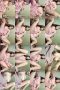 8e95k8ghhoyi_xt