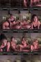 i1oe8us1xvjz_xt