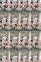 izmvreb9l33k_xt