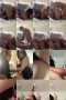 pauv4c5qzvqw_xt