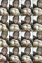 s2ahj3u98elmwjh6