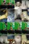 9c6ahwybexmu_xt