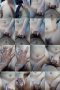 naqv43edegcl_xt