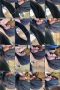 ibmn5hemkdmr_xt